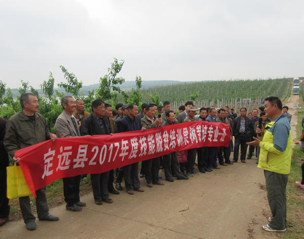 定遠縣2017年度就業技能脫貧培訓（果樹、蔬菜）專業實訓課程順利結束600.jpg