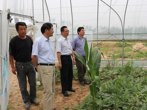 IMG_8752_副本.jpg IMG_8752_副本.jpg