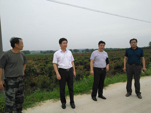 QQ圖片20170710210549_副本.jpg QQ圖片20170710210549_副本.jpg