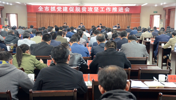 DSC_0375_副本.jpg DSC_0375_副本.jpg