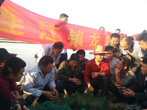 龍蝦產業(yè)現(xiàn)場推進會.jpg