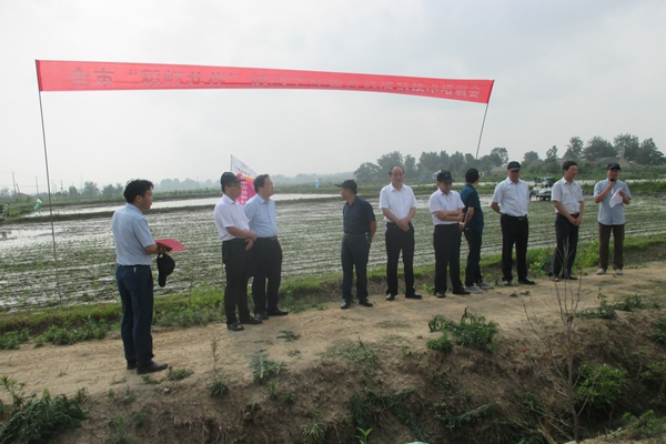 全市“稻蝦共作”模式下缽毯苗機(jī)插秧技術(shù)培訓(xùn)會(huì)在定遠(yuǎn)召開(kāi).JPG