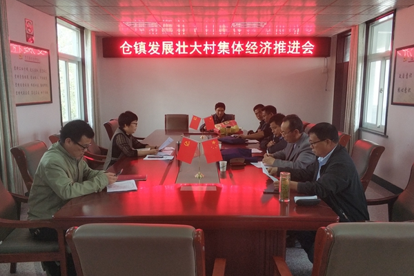 倉鎮發展壯大村集體經濟推進會.jpg