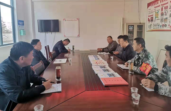 縣人大陳主任一行到池河鎮(zhèn)七里河村調研指導軟弱渙散村整頓工作1.jpg