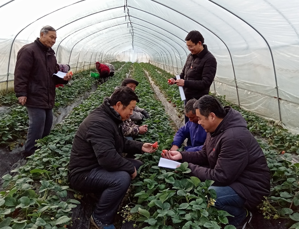 定遠縣嚴橋鄉(xiāng)黨員冬訓_副本.jpg 定遠縣嚴橋鄉(xiāng)黨員冬訓_副本.jpg