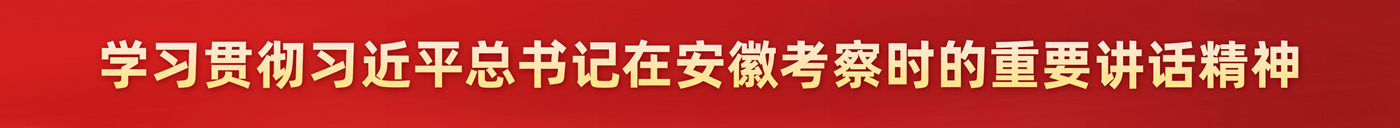學(xué)習(xí)貫徹習(xí)近平總書記考察安徽重要講話精神